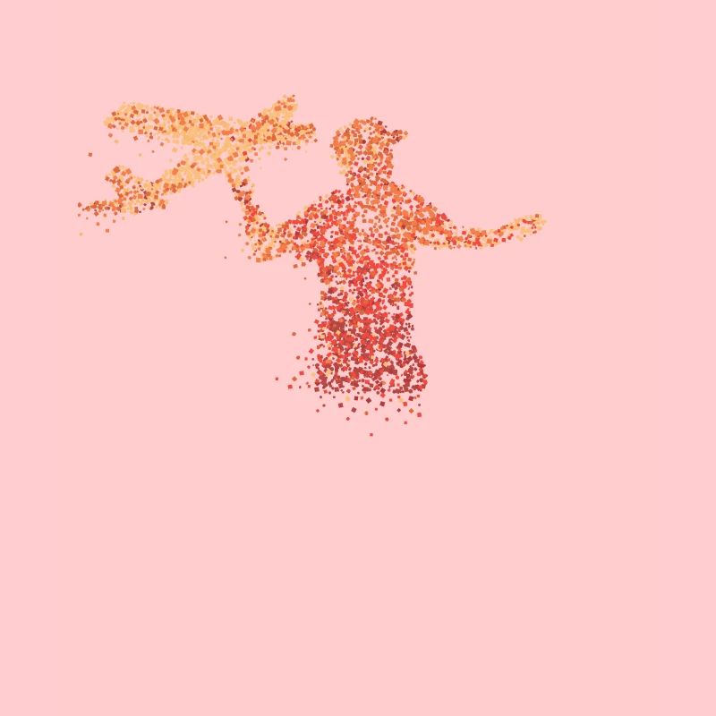 Remote-controlled model aircraft pilot