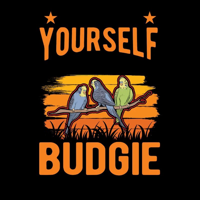 Perruche Budgerigar Welli