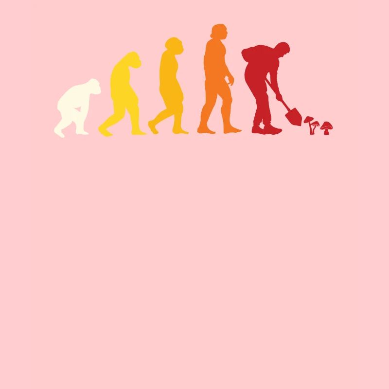 Pilzsammler Evolution