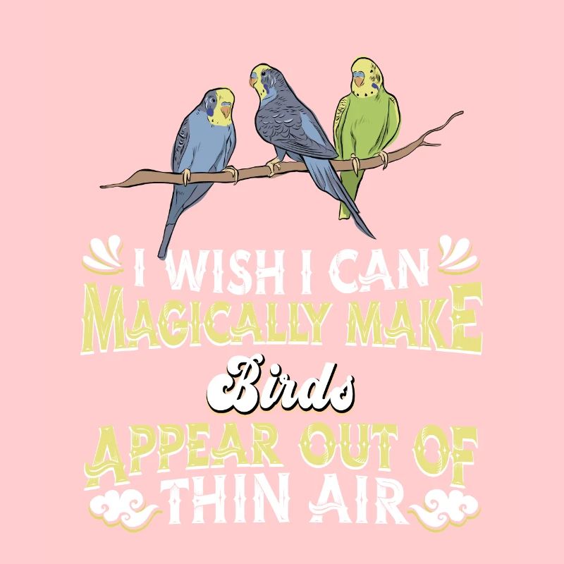 Oiseaux Oiseaux