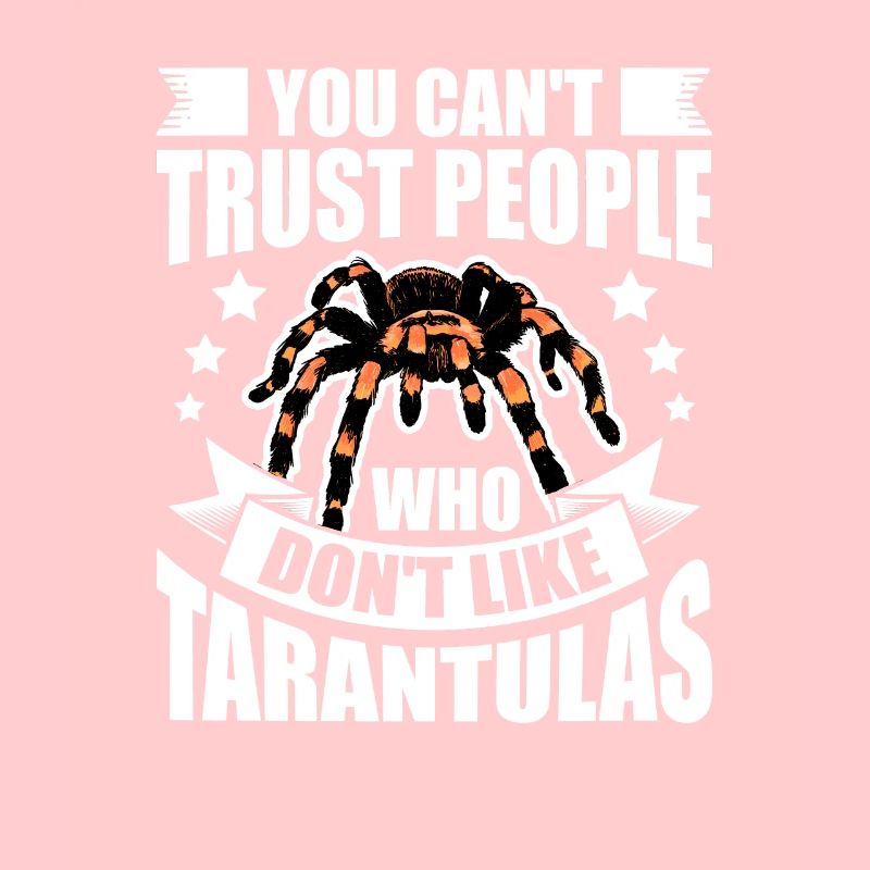 Tarentule Araignée Tarentule