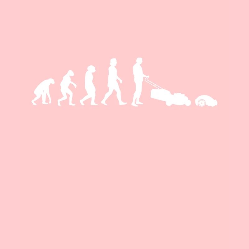 Mähroboter Evolution Rasenroboter