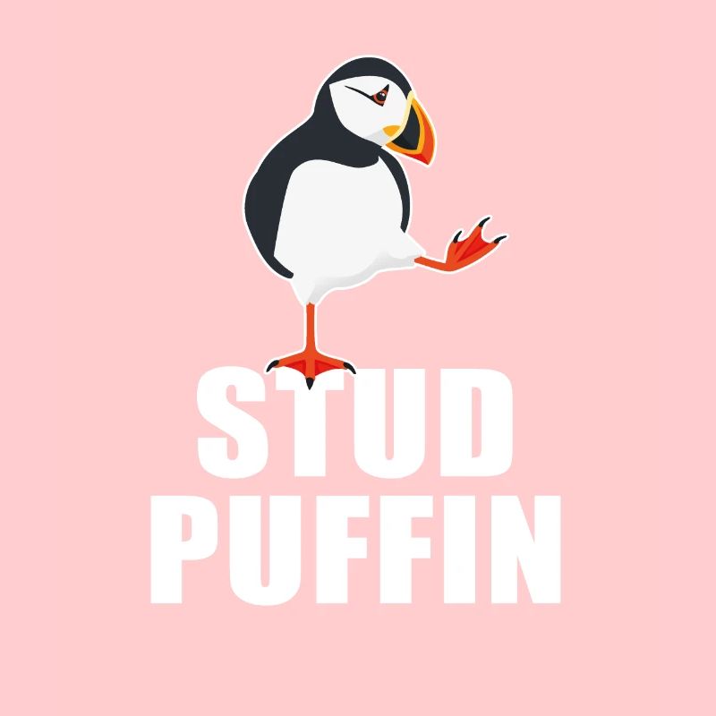 Stud Puffin Eistaucher Meeresvogel Papageitaucher