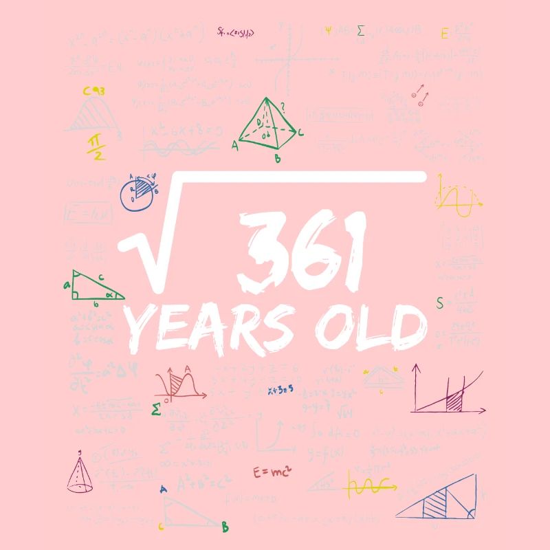 Square Root of 361 19TH Funny Math Birthday