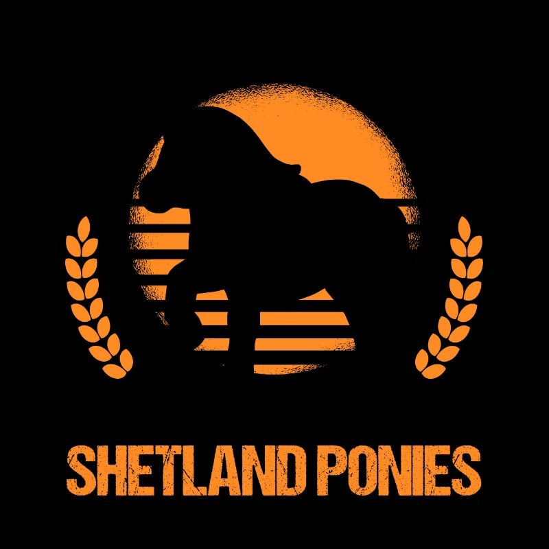Shetland Pony Geschenk Shetty