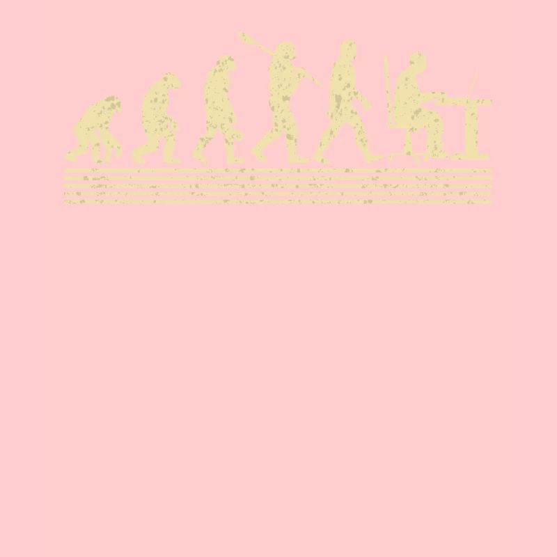 Software-developer-evolution