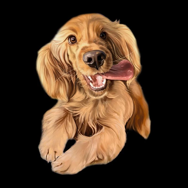 Jumping Cocker Spaniel
