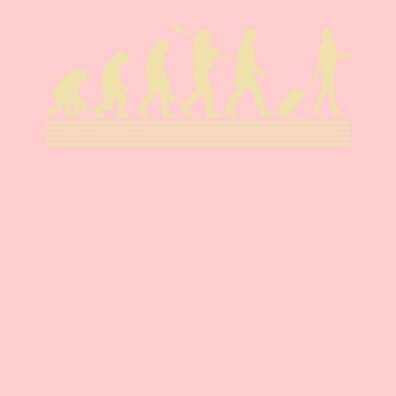 Évolution des hôtesses de l’air