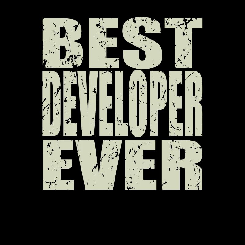 Best Developer ever Developer Gift