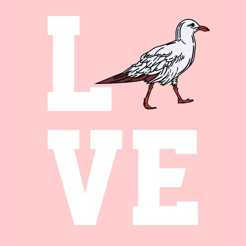 Liebe Möwe