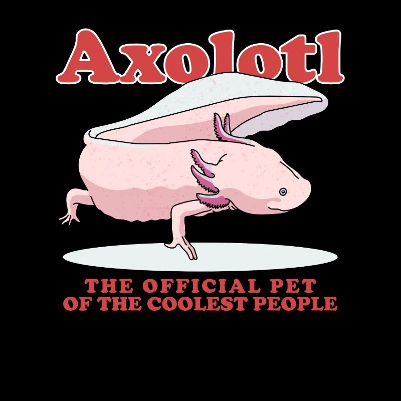 Axolotl Amphibiens à queue Axolotls Cadeau