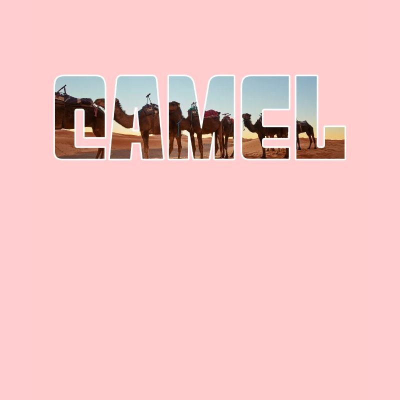 Kamel