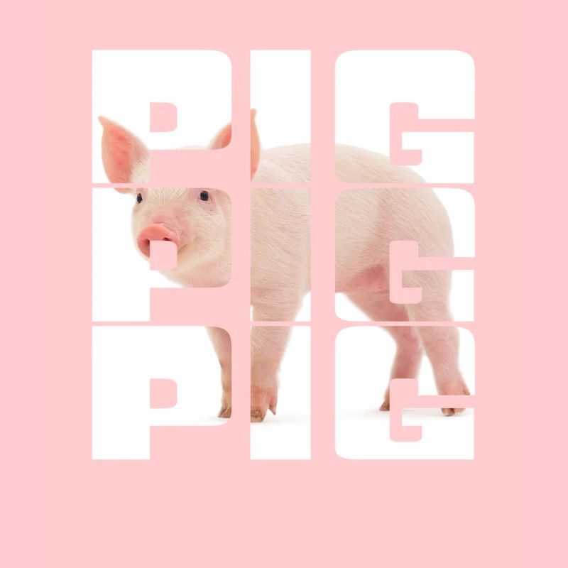 Cochon