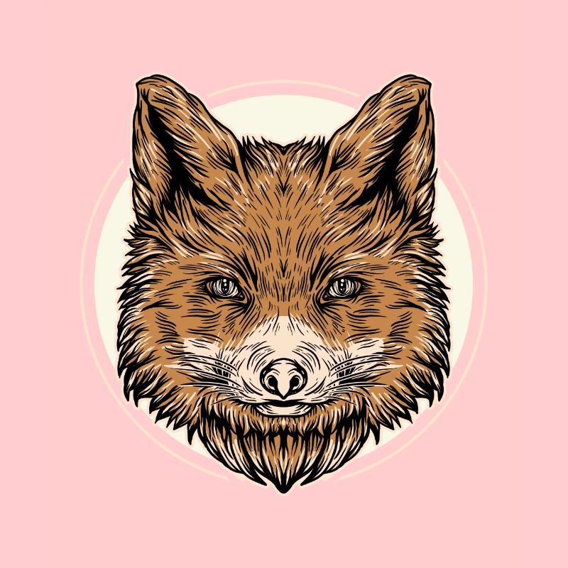 Fuchs intelligent Waldtier Fox Rotfuchs Schlau