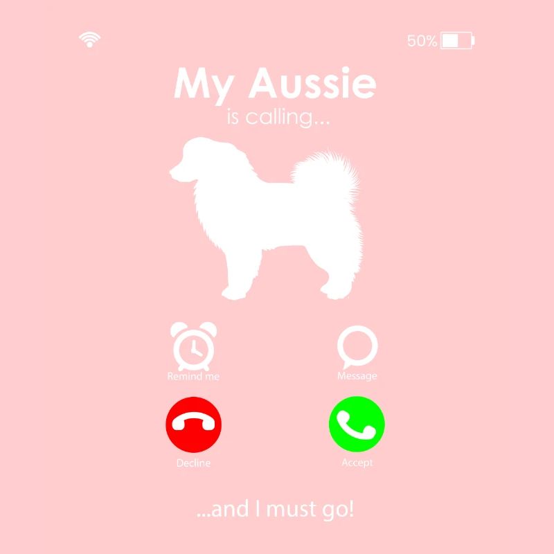 Cadeau de berger australien
