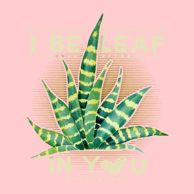 Sansevieria Bogenhanf Pflanze Zimmerpflanze Spruch