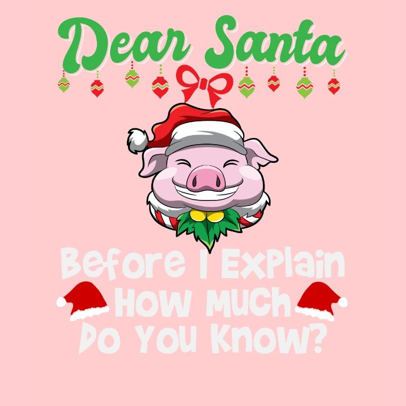 Cher Père Noël avant que j’explique combien savez-vous