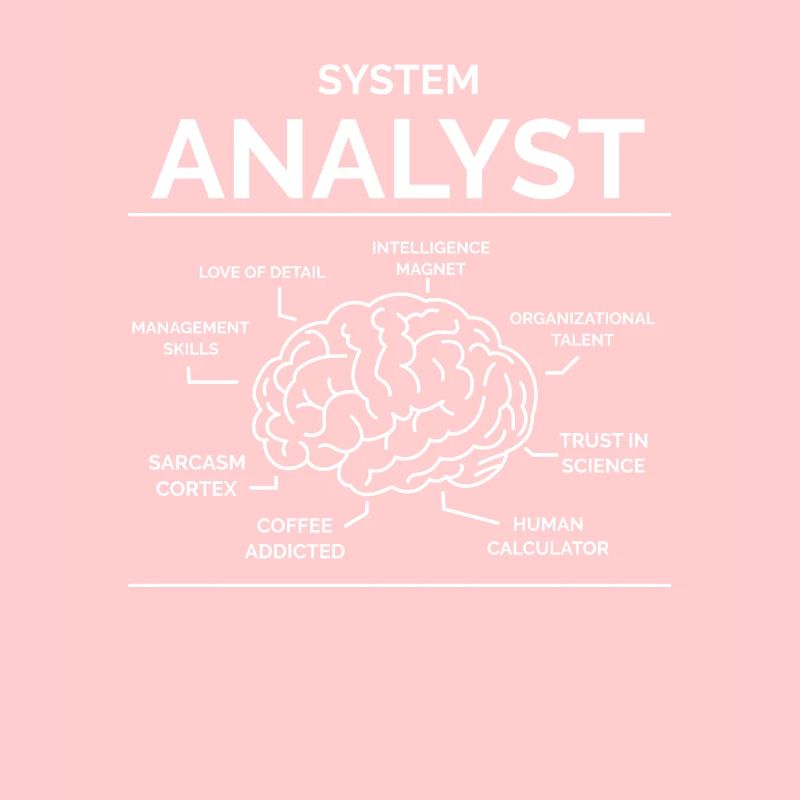 Analyste de systèmes