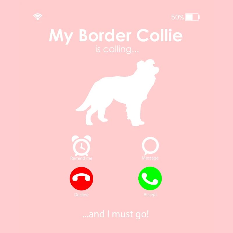 Border Collie Dog