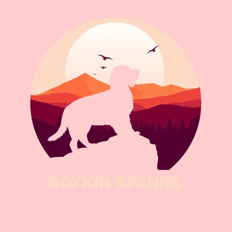 Boykin Spaniel