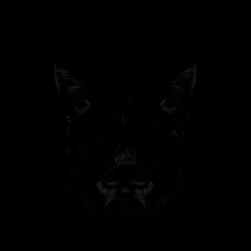 Luchs