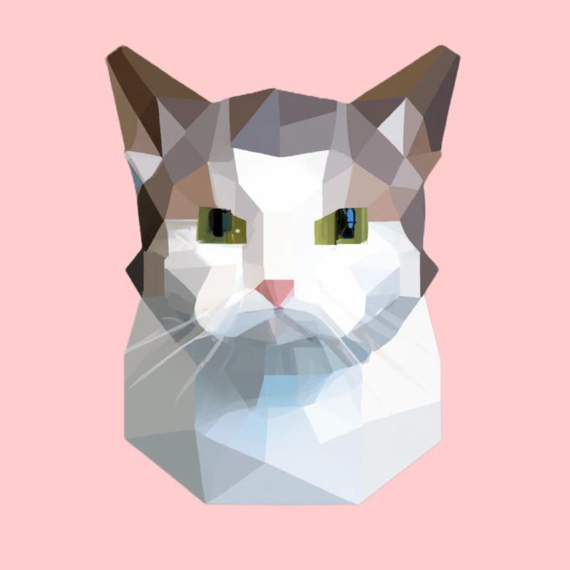 chat mignon bas poly chat blanc gris