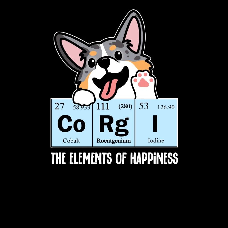 Blue Merle Corgi