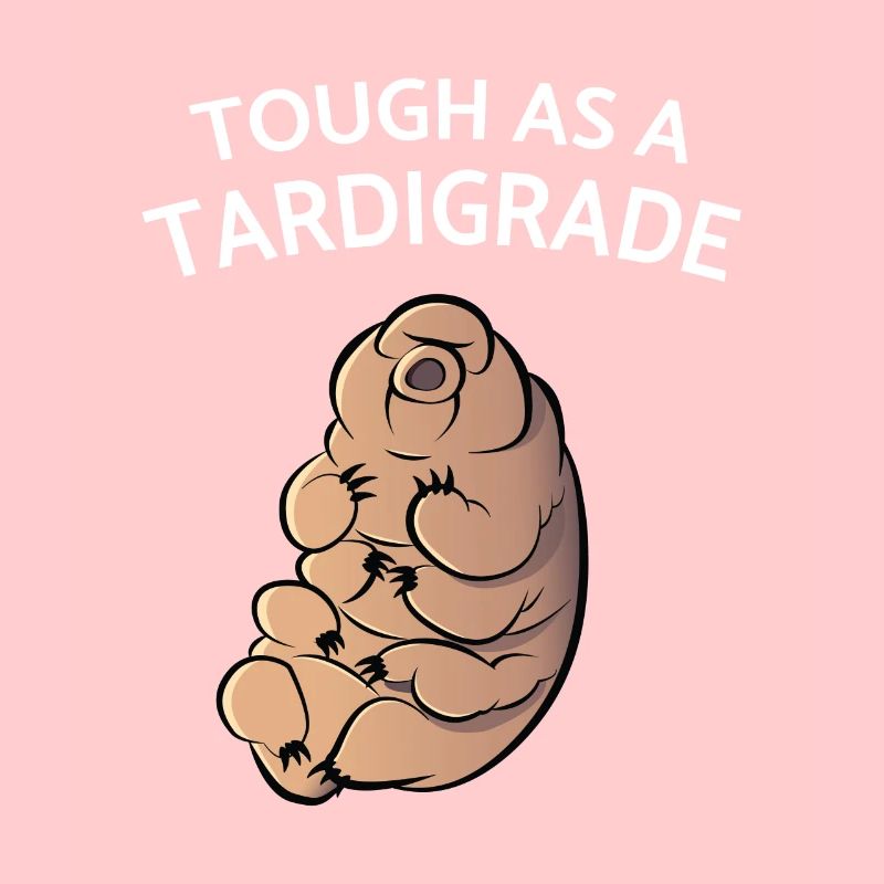 Touch As A Tardigrade Bärtierchen