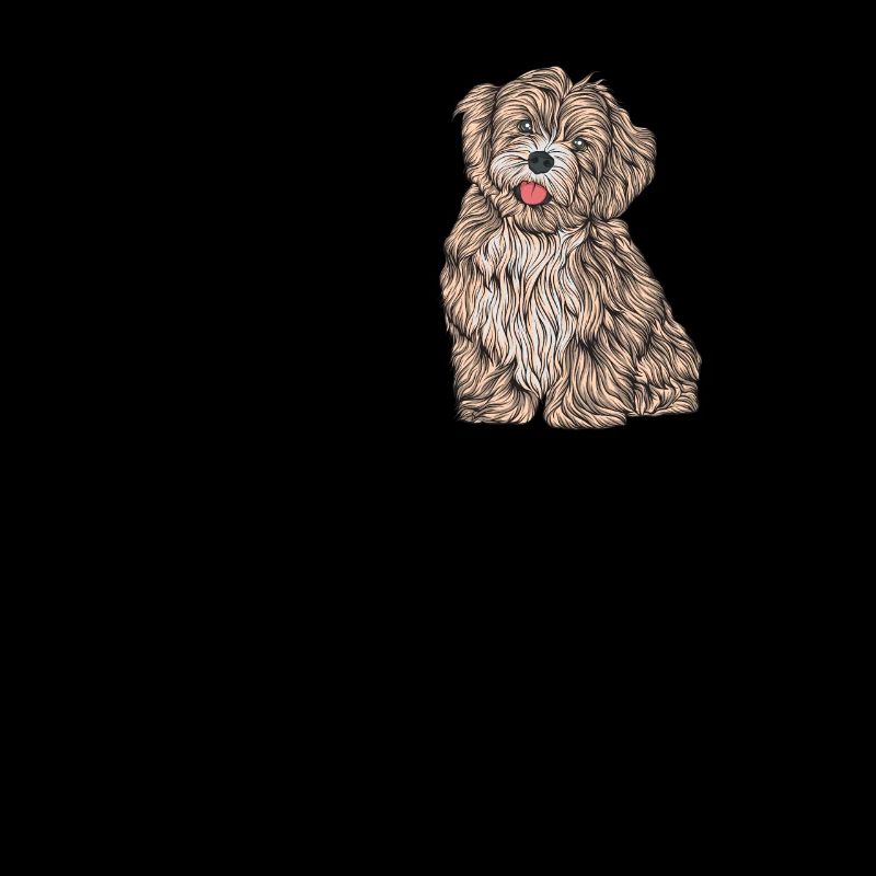 Havanese