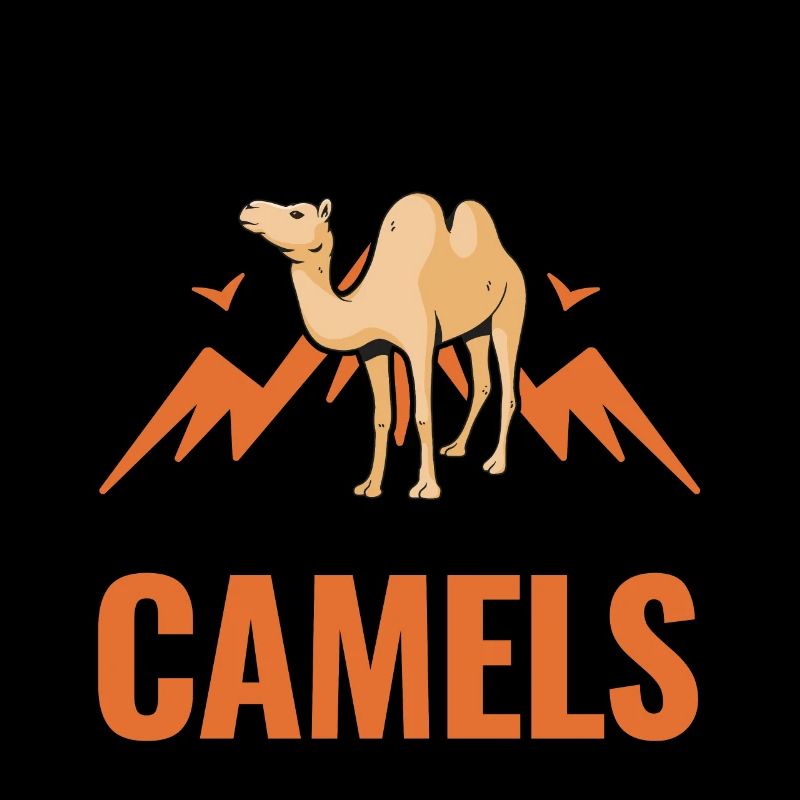 Kamel Dromedar Ägypten Geschenk Großkamel