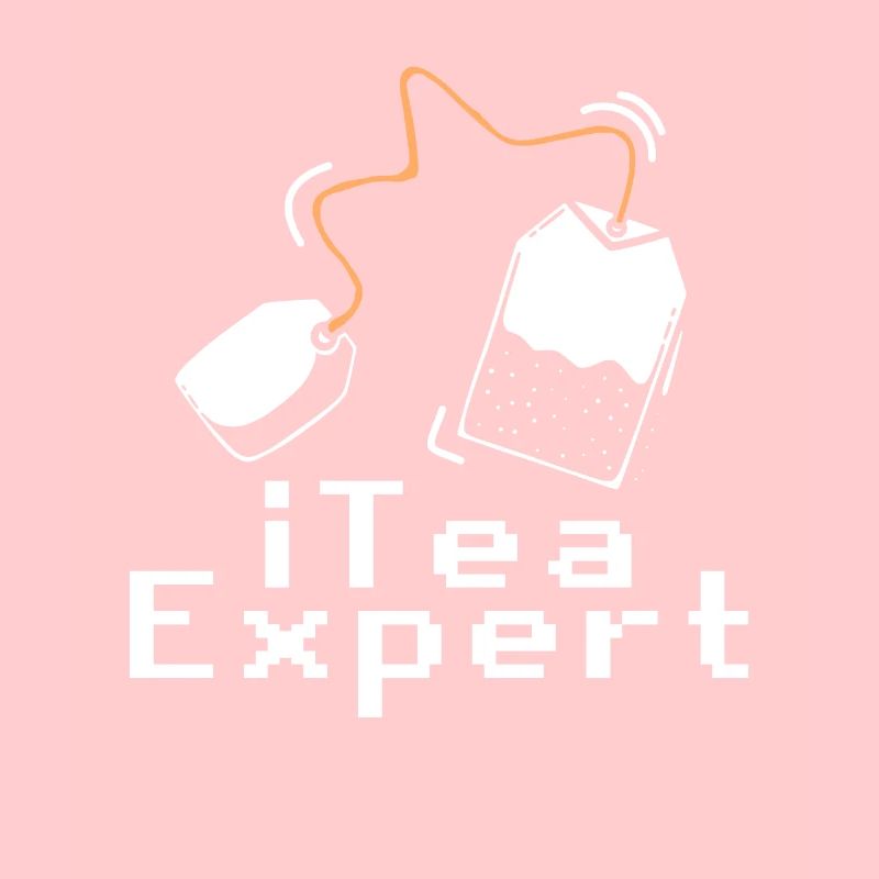 Itea-Experte Computer Software Programmierer