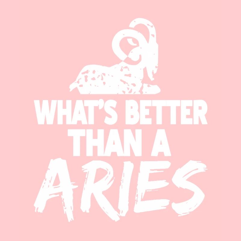 What's Better Than A ARIES Retro Funny Astrology