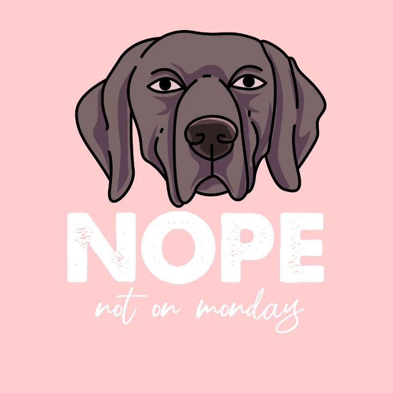 Weimaraner