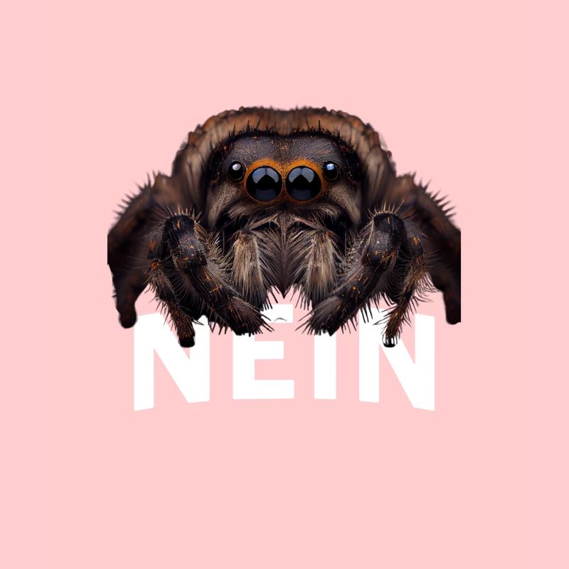 Statement Spinne, Nö Fun, Einfach Nö, Nein