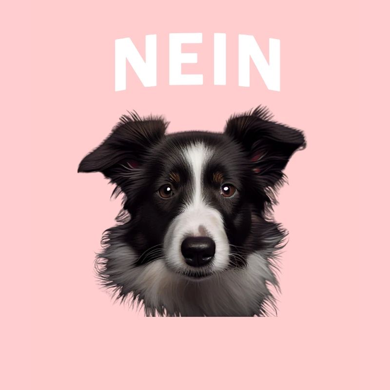 Statement Border Collie, Nö Fun, Einfach Nö, Nein