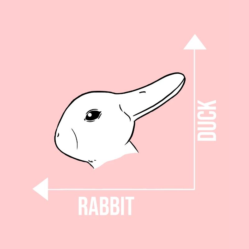 Rabbit Duck Graph Math Pâques