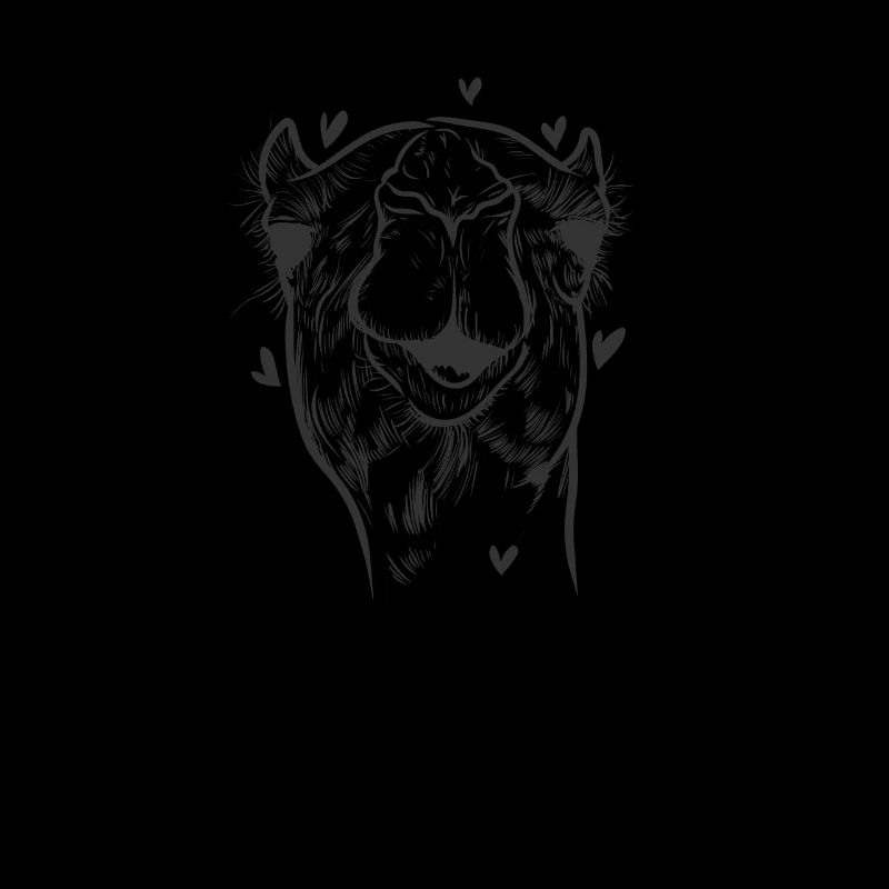 Kamel Höcker Savanne Wüste Dromedar