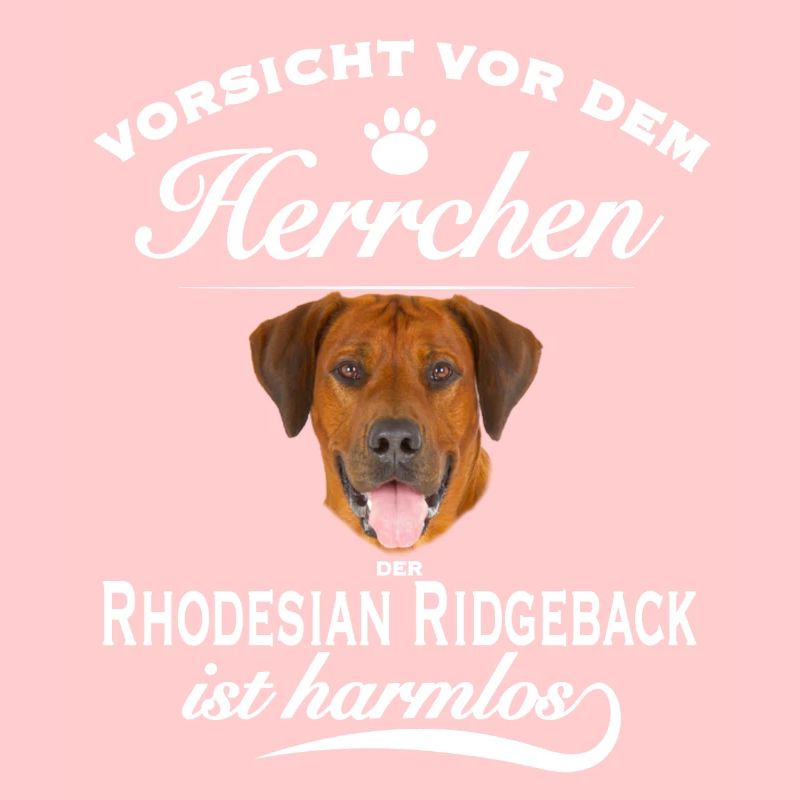 Vorsicht vor Herrchen, harmlos Rhodesian Ridgeback
