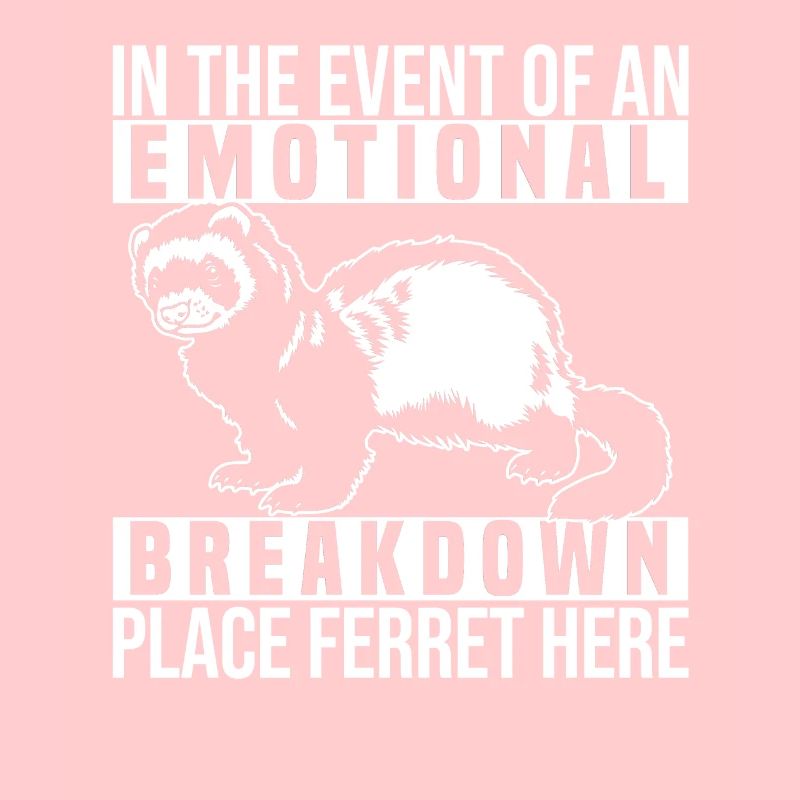 Ferret Iltis Funny