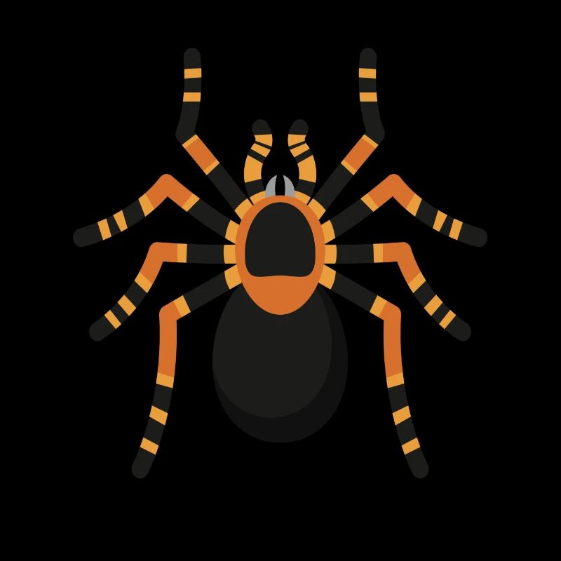 Spider Spider Tarantula