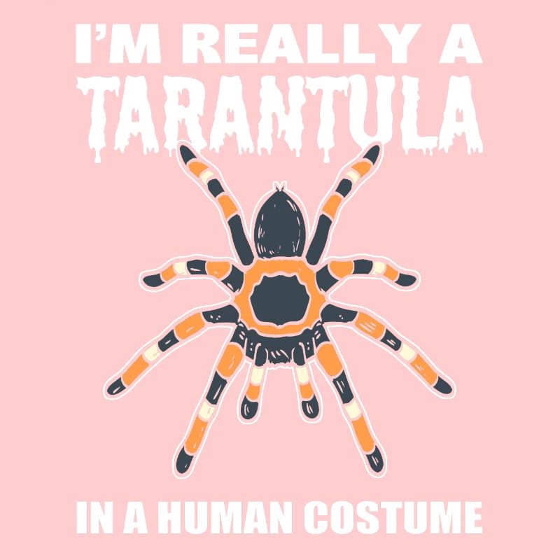 Spider lover arachnology