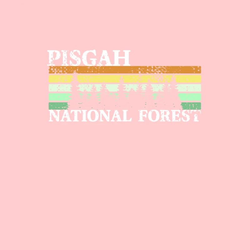 Rétro de la forêt nationale de Pisgah