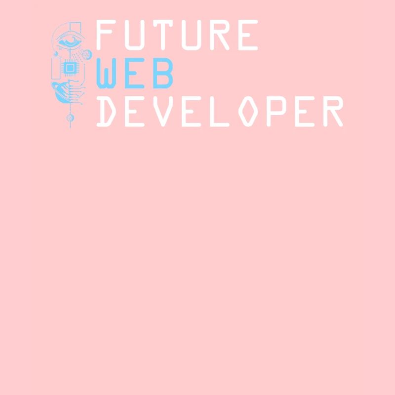Web Developer Web Developer