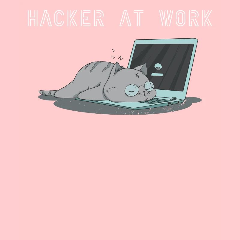 Hacker at work