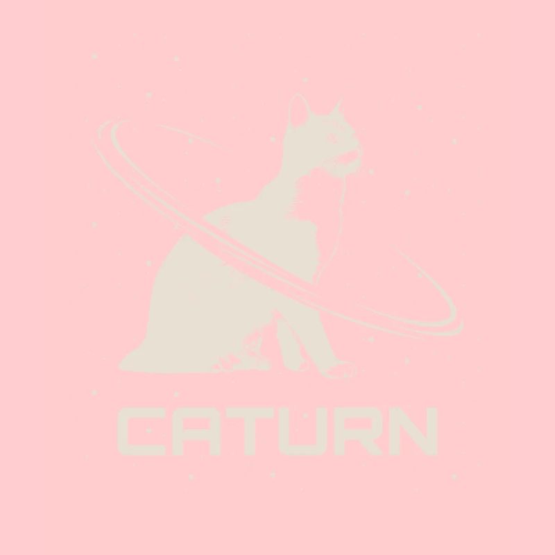Saturn Caturn Cat Planet Space