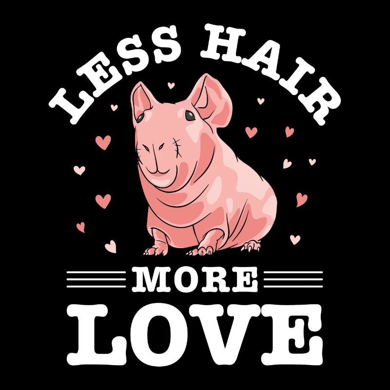 cochon d’Inde sans poils, cochon maigre,
