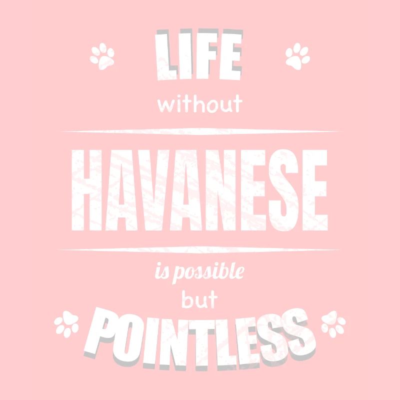 Life is possible but pointless - Havanese