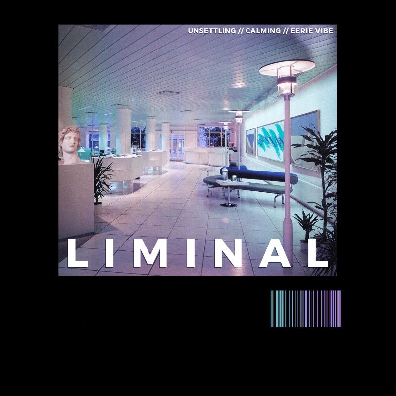 Liminal Spaces Retro 80s & 90s Backrooms Vaporwave