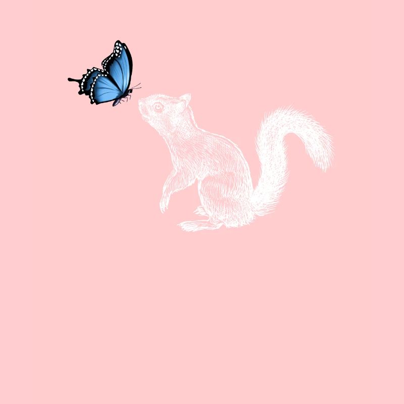 Écureuil avec papillon