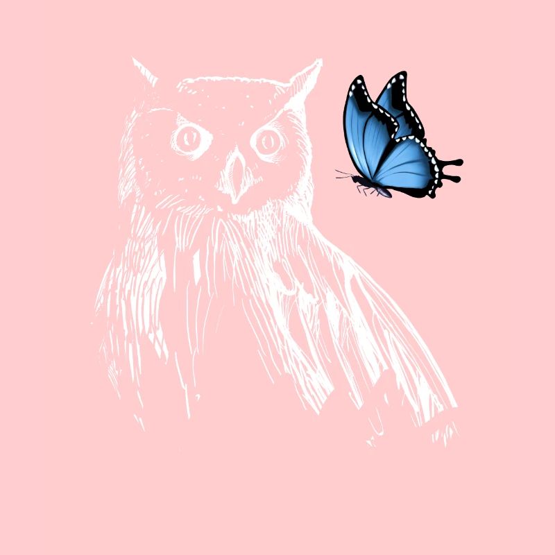 Eule mit Schmetterling